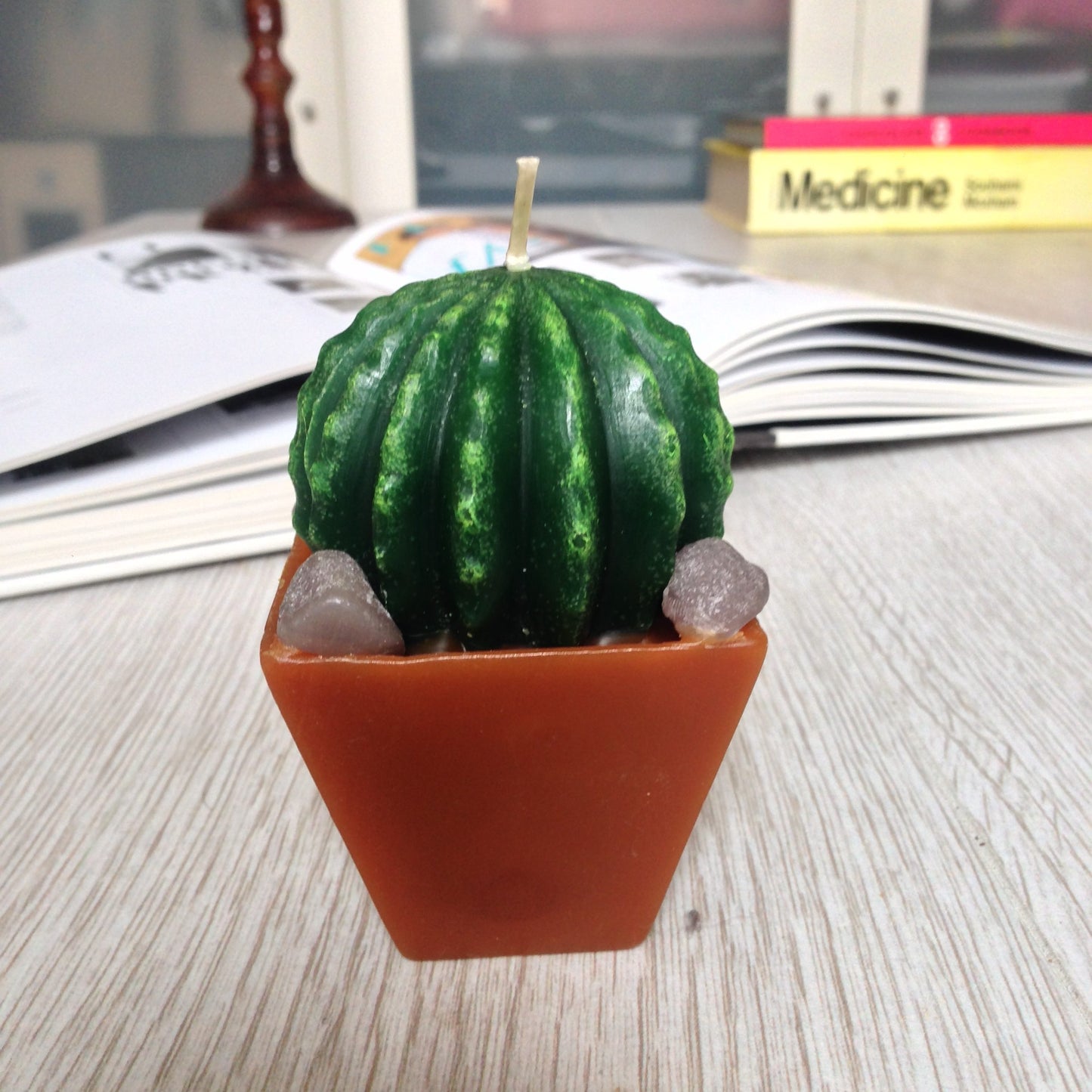 Mexican Cactus Candle