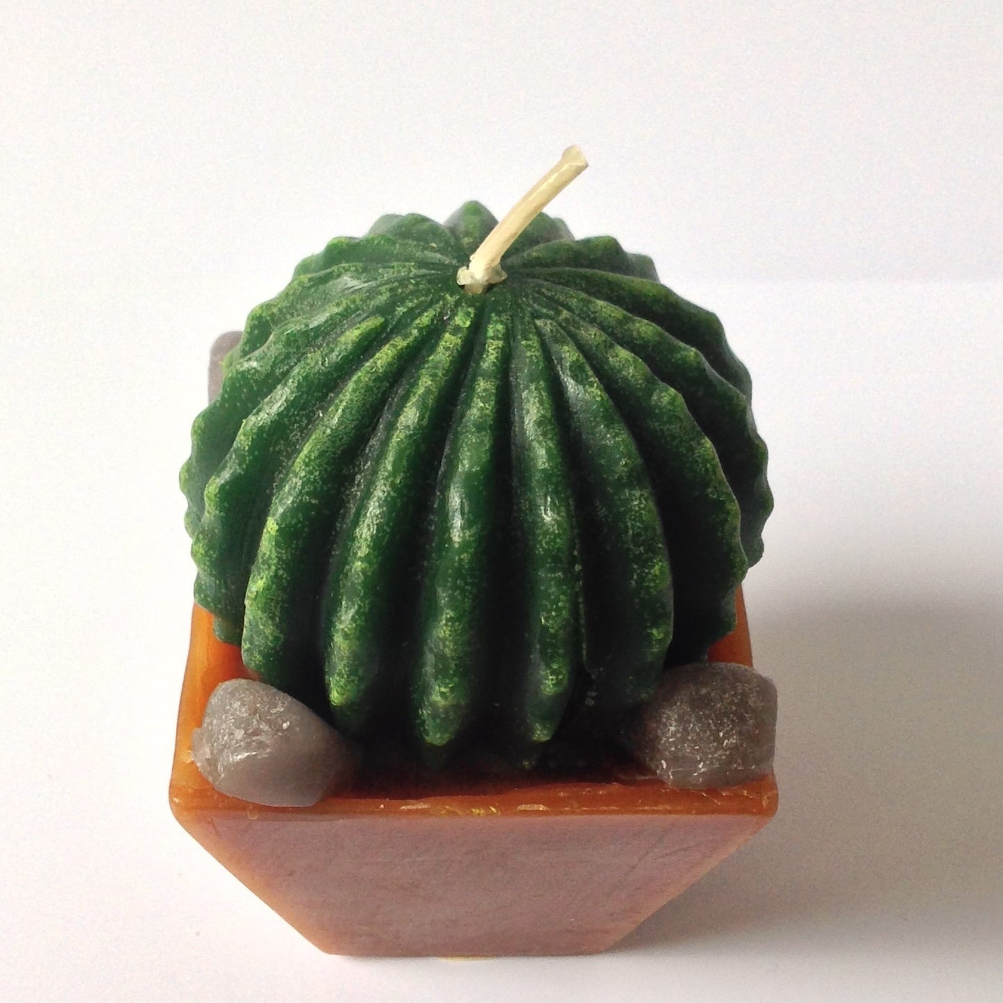 Mexican Cactus Candle